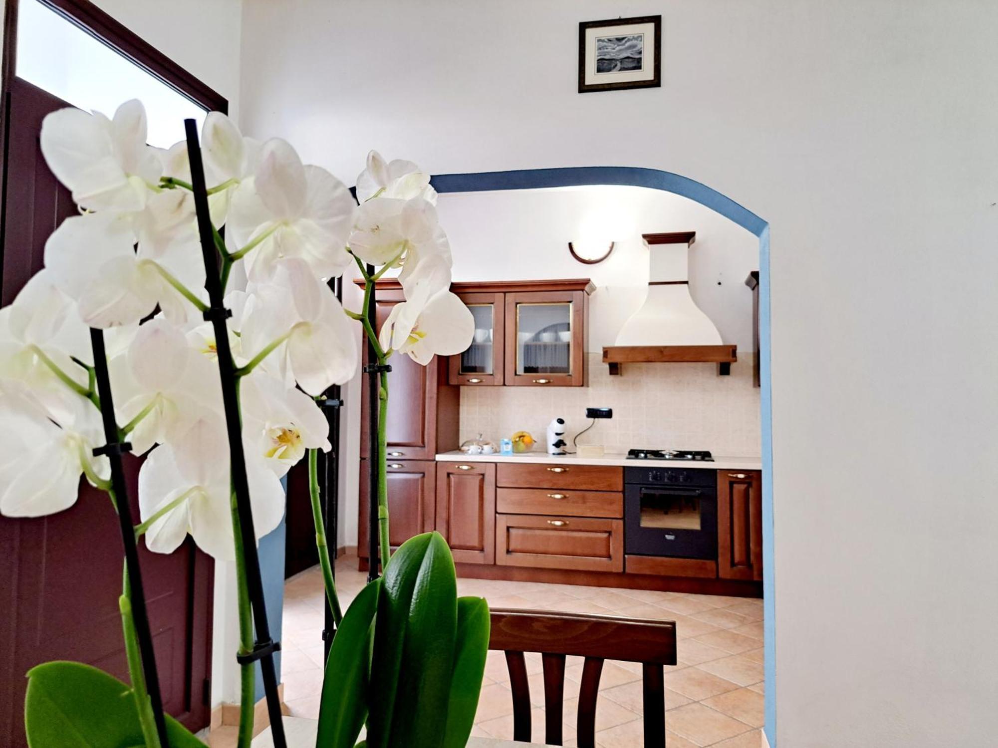 Anninnia Guest House B&B - Ghiiarza Ghilarza Εξωτερικό φωτογραφία